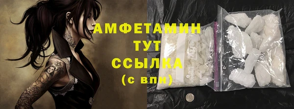 сатива Аркадак