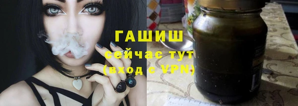 сатива Аркадак
