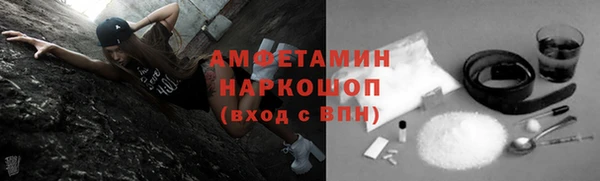 сатива Аркадак