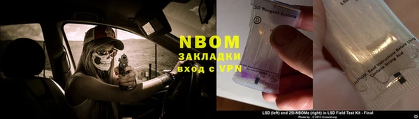 сатива Аркадак