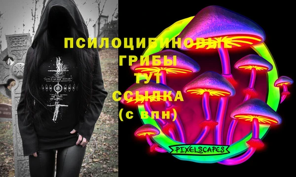 каннабис Арсеньев
