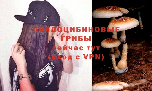 каннабис Арсеньев