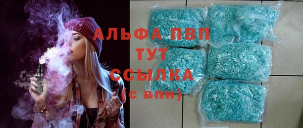 сатива Аркадак
