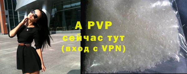 сатива Аркадак