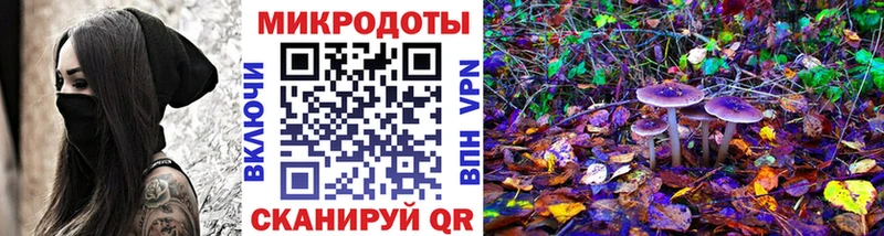 Псилоцибиновые грибы мицелий  Калач-на-Дону 